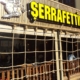 ŞERAFETTİN CAFE, CAFE SERİNLETME SİSTEMİ HATAY